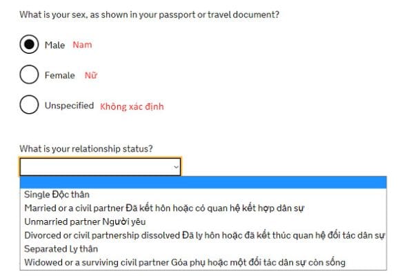 Hướng Dẫn điền Tờ Khai Visa Anh Du Lịch Chi Tiết 2025