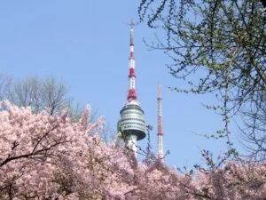 Tour Hàn Quốc Seoul - Đảo Nami - Everland